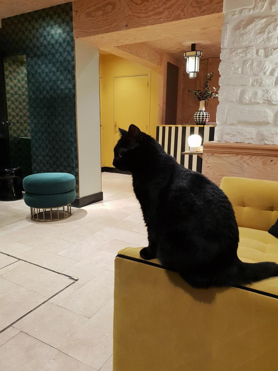 Hotel Denfert-Montparnasse Parigi Esterno foto